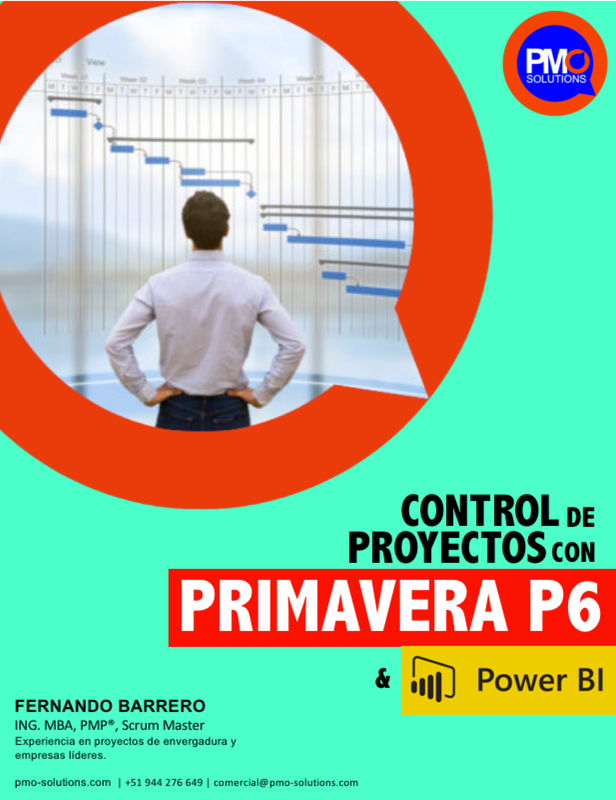 Primavera P6 & Power BI